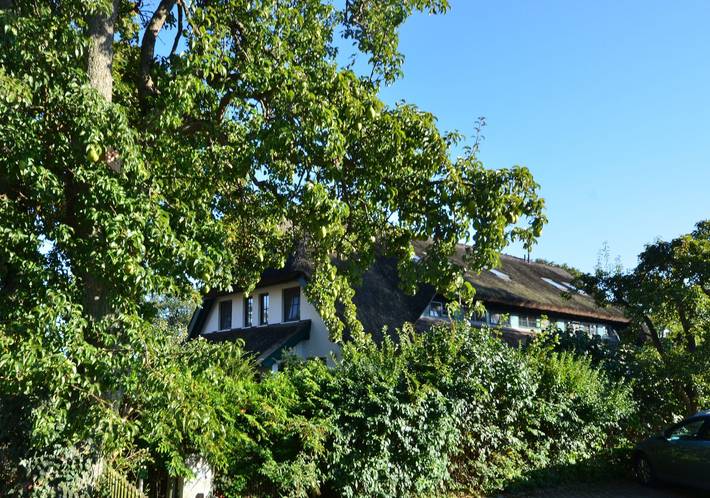 Ferienhaus für 8 Personen, mit Terrasse und Garten in Groß Zicker - 3