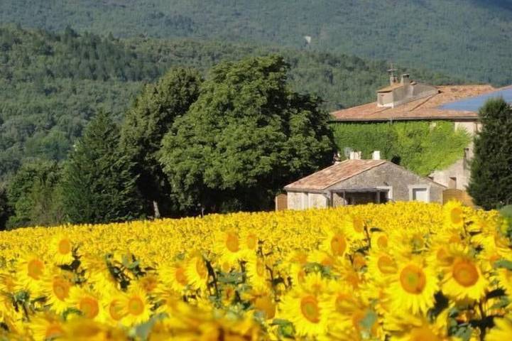 Gîte pour 4 personnes, avec Terrasse et Jardin