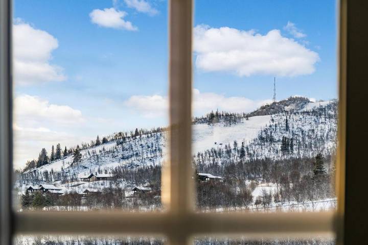 Location de vacances pour 11 personnes, avec terrasse ainsi que vue et jardin à Geilo - 3