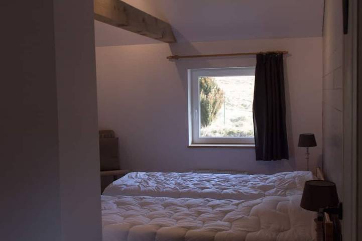 Location de vacances pour 10 personnes, avec terrasse et jardin à Fresse-sur-Moselle - 2