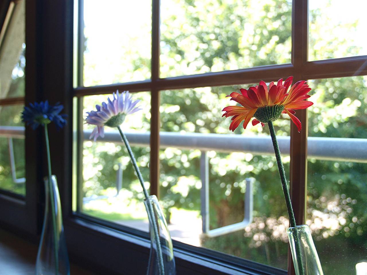 Ganze Wohnung, Ferienwohnung 'Kummerower See, 80qm' mit gemeinsamer Terrasse, gemeinsamem Garten und Wi-Fi in Malchin, Kummerower See