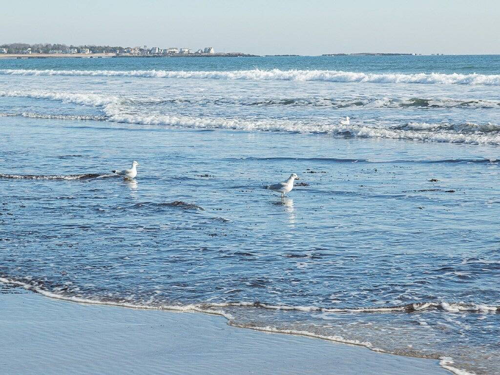 Sea Cottage bei Fortunes Rocks in Biddeford, York County