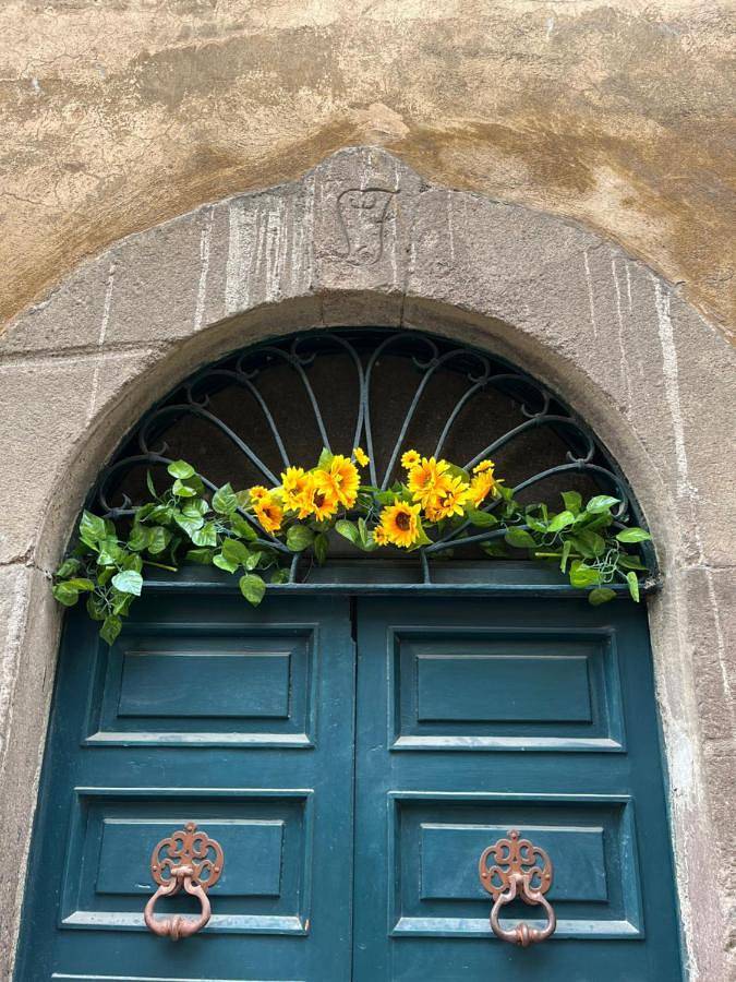 Gîte pour 3 personnes, avec vue à Tuscania - 2