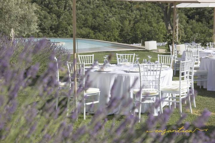 Bungalow für 4 Personen, mit Pool und Garten sowie Ausblick, mit Haustier in Kampanien - 3
