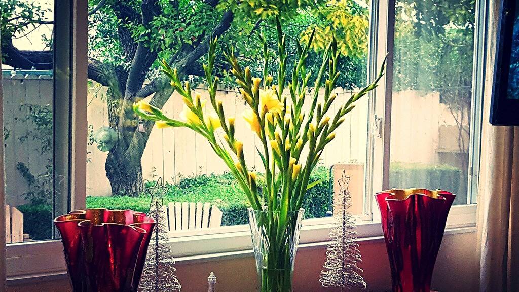 Wunderschönes Napa Home mit Weintour. # -0011 in Napa, Napa Valley