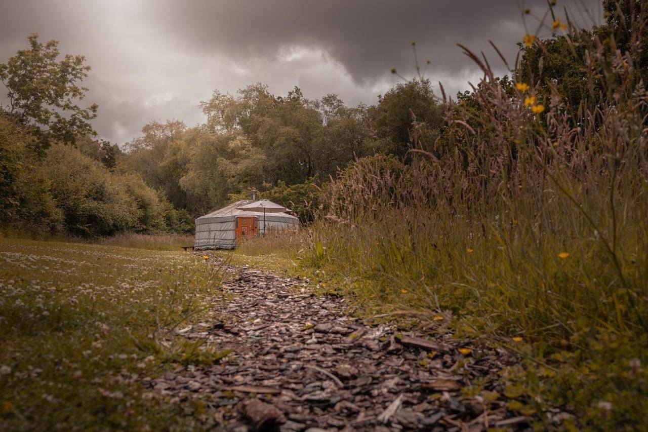 Tent in Brecon Beacons