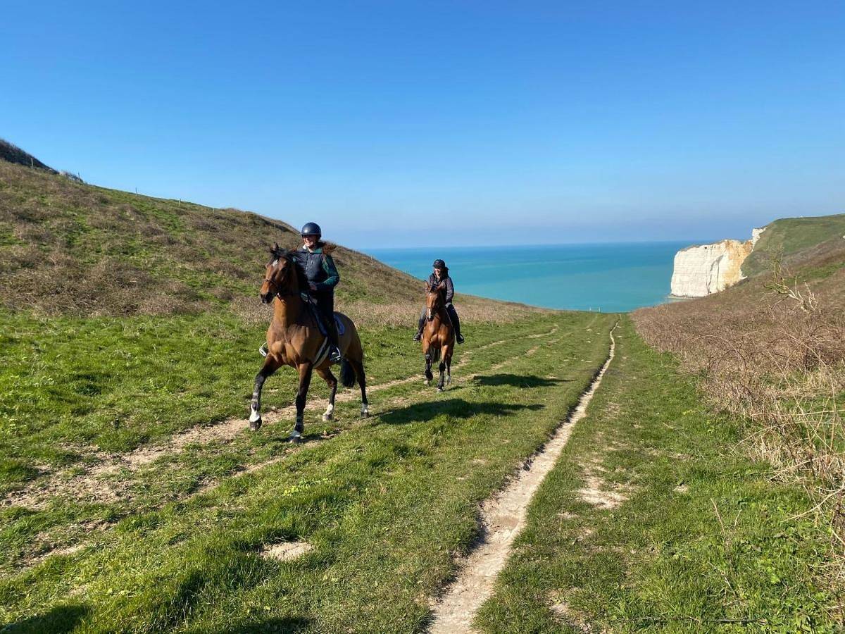 Domaine Equestre Etretat in Le Tilleul, Le Havre und Umgebung
