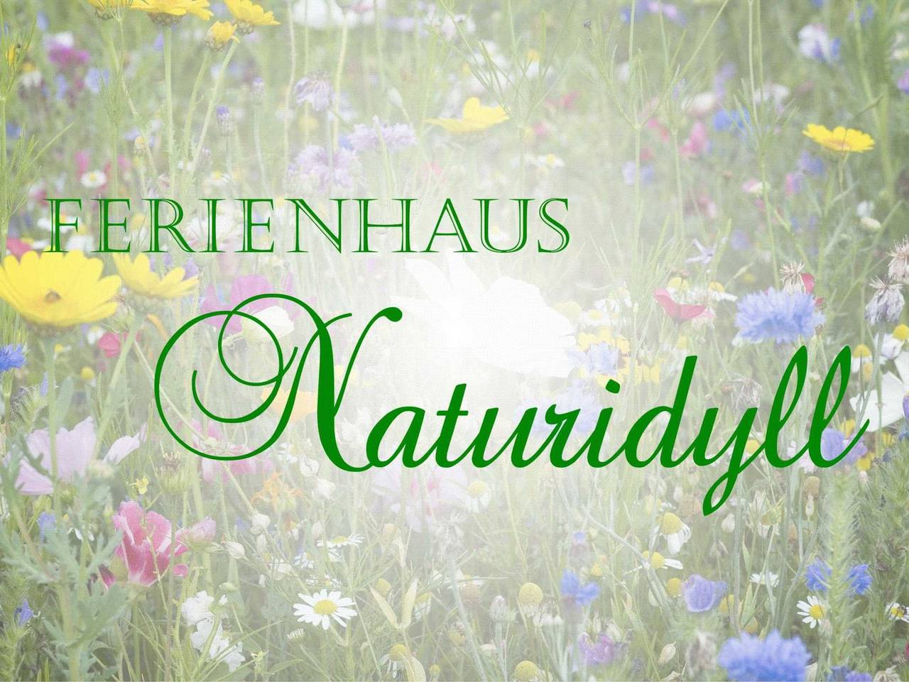 Ganze Ferienwohnung, Ferienhaus Naturidyll mit großem Garten in Sundhagen, Stralsund Umland
