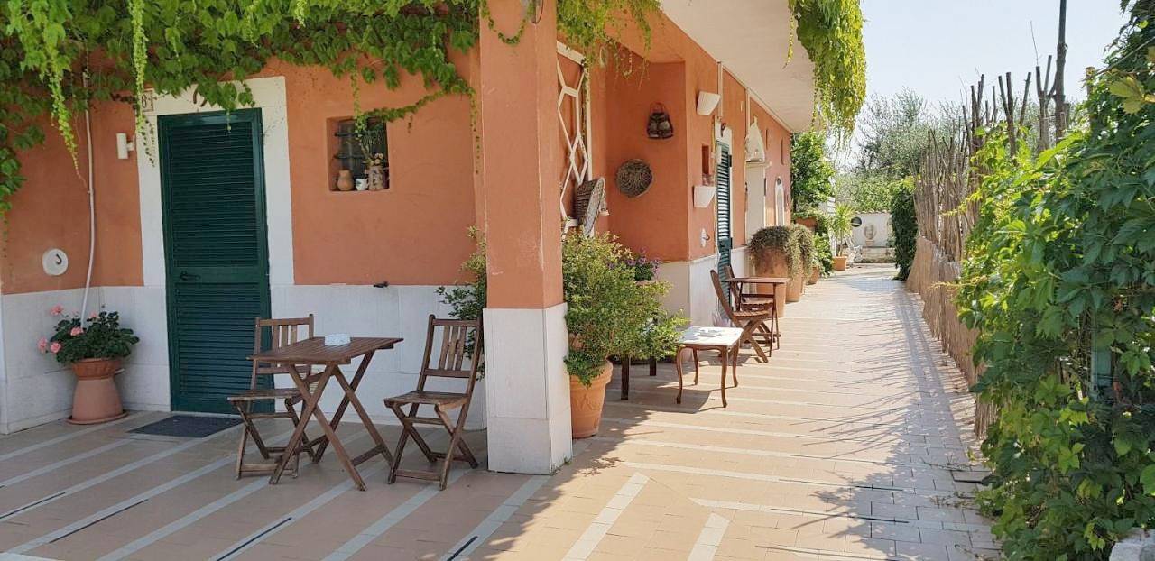 Casale Terra Sole B&B in Terlizzi, Provincia di Bari