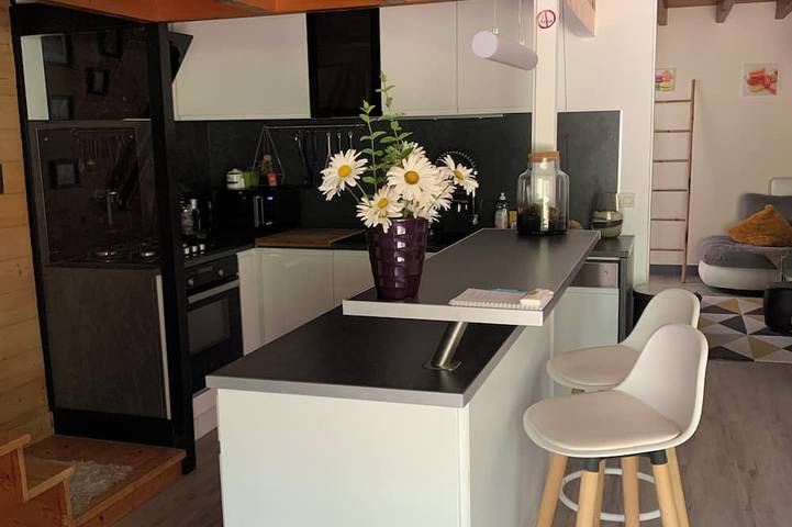 Ferienhaus für 6 Personen, mit Haustier - 1