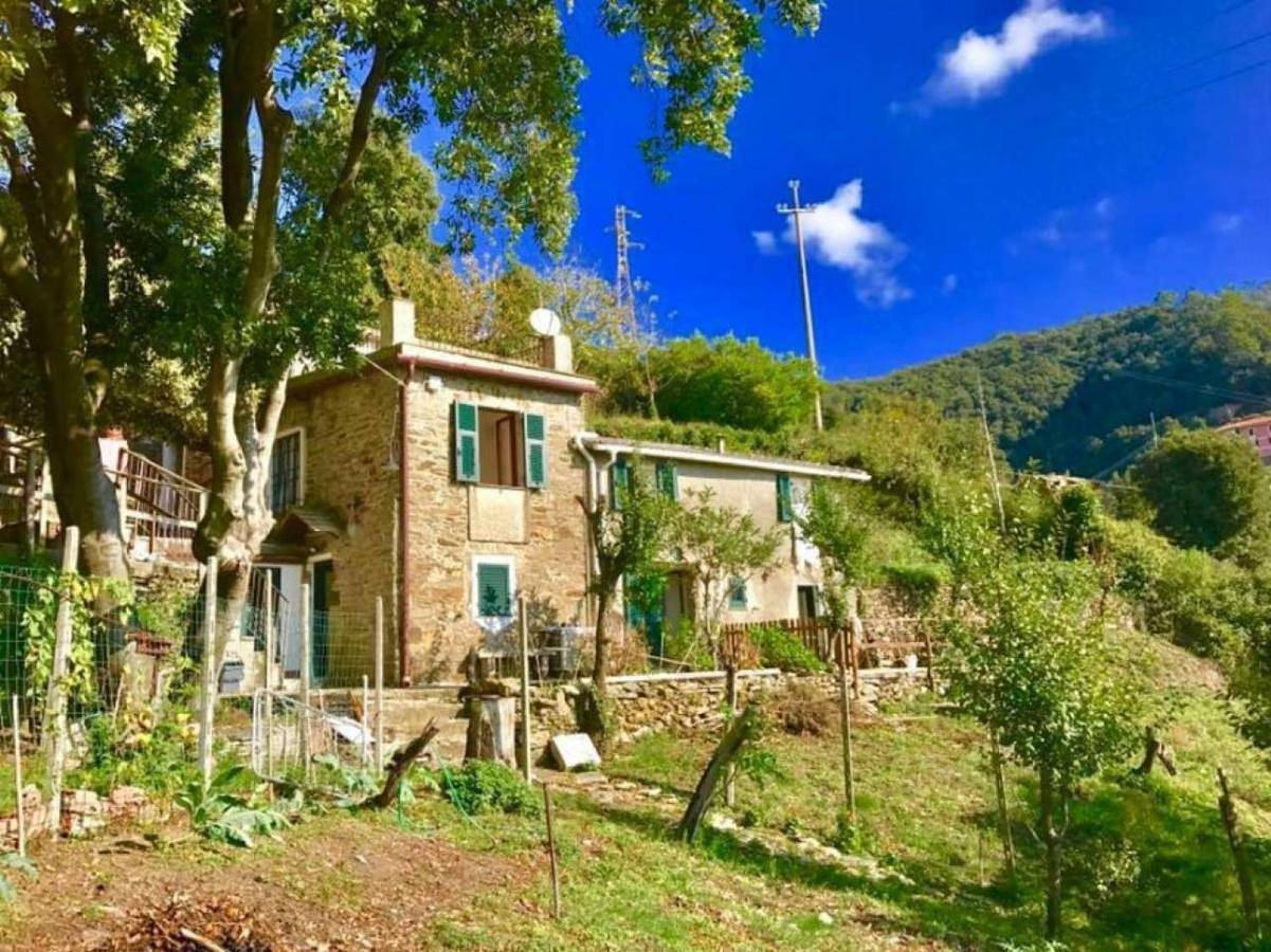 La quiete accesa in Vernazza, Vernazza Gemeente