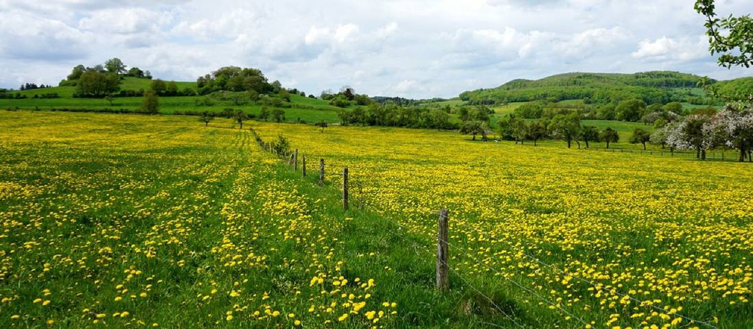 Bauernhof für 7 Personen, mit Garten an der Rhön - 4