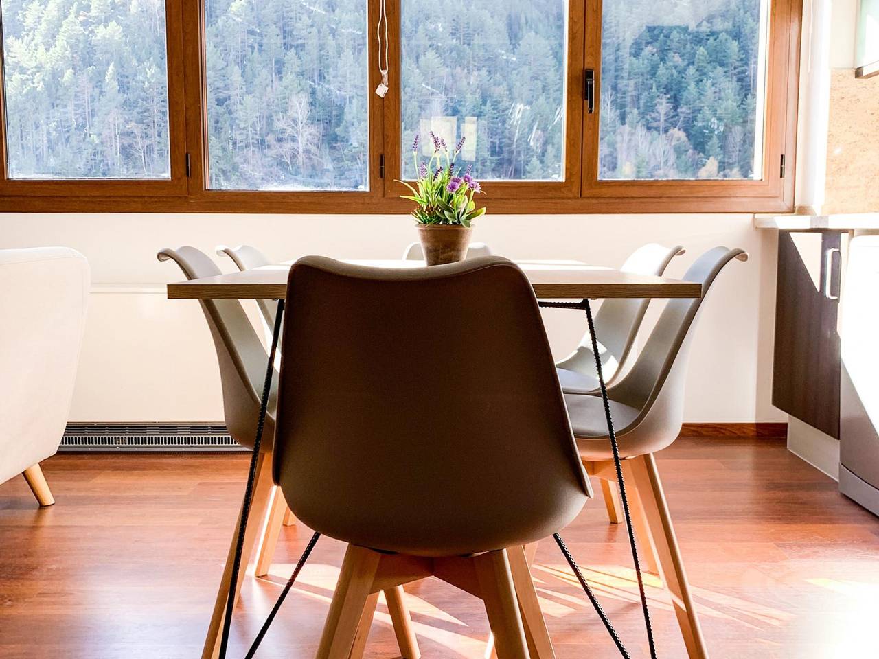 Ganze Wohnung, Modernes Appartement in Arinsal, in der Nähe der Pisten, inkl. Parkplatz in Pal Arinsal