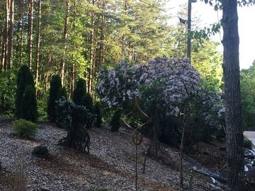 Lake House for 2 Guests in Lake Lanier, Dawson County, Picture 2