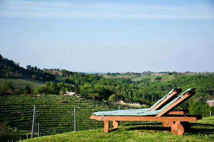 Location de vacances pour 5 personnes, avec sauna ainsi que jacuzzi et jardin dans Ormož - 2