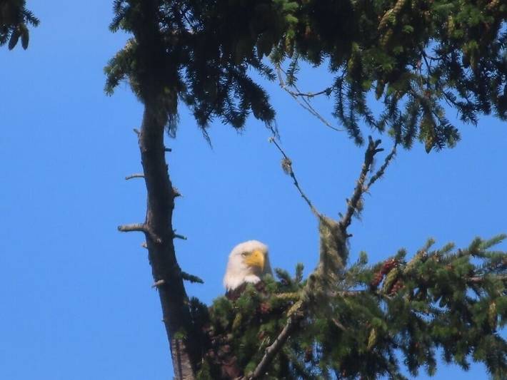 Holiday rental for 4 people, with terrace and garden, with pets on Vancouver Island