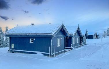 Feriehus til 11 Personer i Ringsaker , Innlandet, Bilde 2