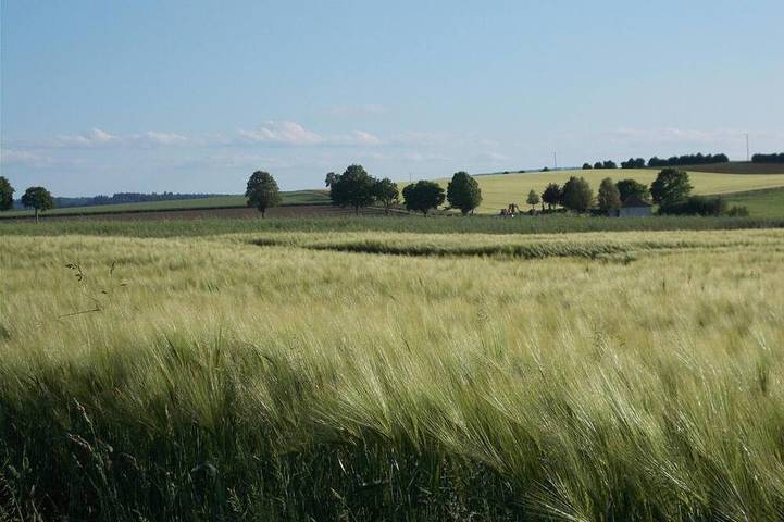 Ferienwohnung für 2 Personen, mit Garten, mit Haustier in Uslar