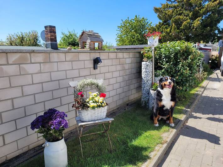 Ferienwohnung für 5 Personen, mit Terrasse in Stralsund - 2
