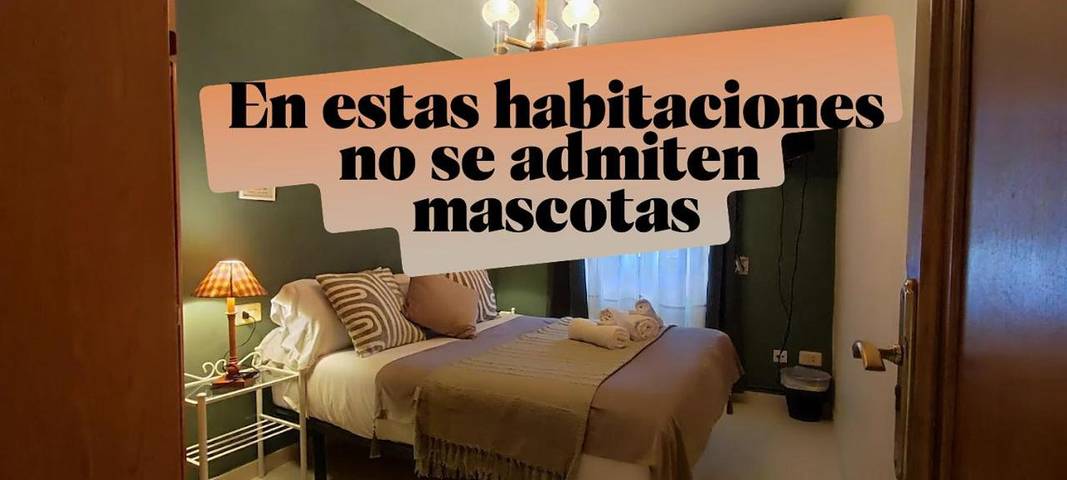 Casa rural para 2 personas, con vistas y jardín, Se admiten mascotas en Provincia de Lugo - 3