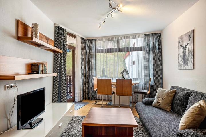 Ferienwohnung für 4 Personen, mit Balkon und Sauna, mit Haustier in Schluchsee - 2