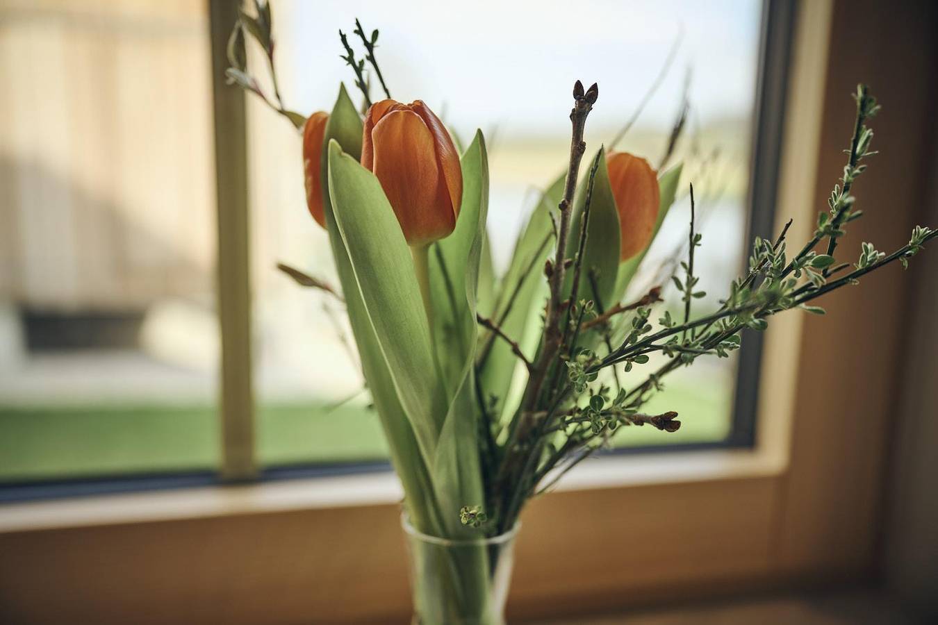 Testhaus Obs Ahrtal in Neuenahr, Bad Neuenahr-Ahrweiler