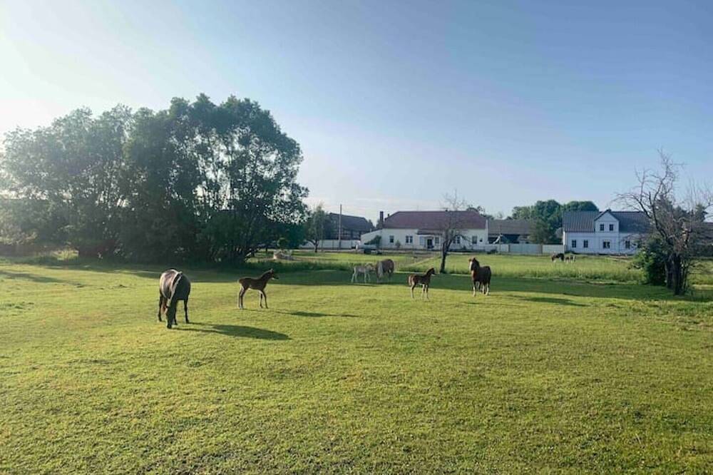Nature escape at a modern house in Hindenberg (Lübbenau), Lübbenau