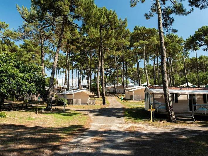 Camping für 6 Personen, mit Kinderpool und Terrasse in Biscarrosse - 2