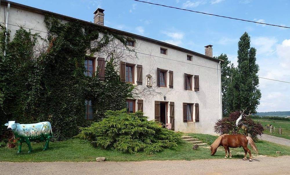 Ferme de Montheu - Chambre Rose in Dommartin-sous-Amance, Région de Nancy