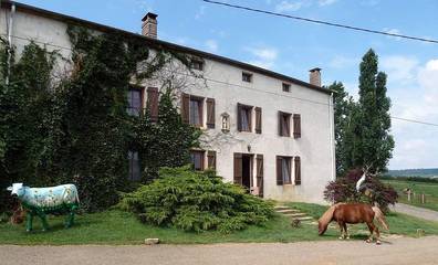Chambre d’hôte pour 4 personnes, animaux acceptés à Dommartin-sous-Amance