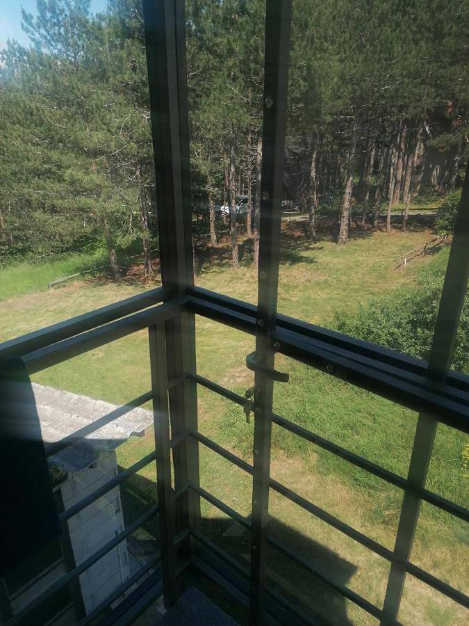 Gîte pour 8 personnes, avec jardin et vue, animaux acceptés à Kosjerić - 2