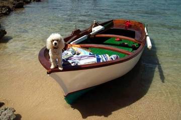 Finca mit Hund für 6 Personen, mit Whirlpool und Garten, mit Haustier in Portocolom