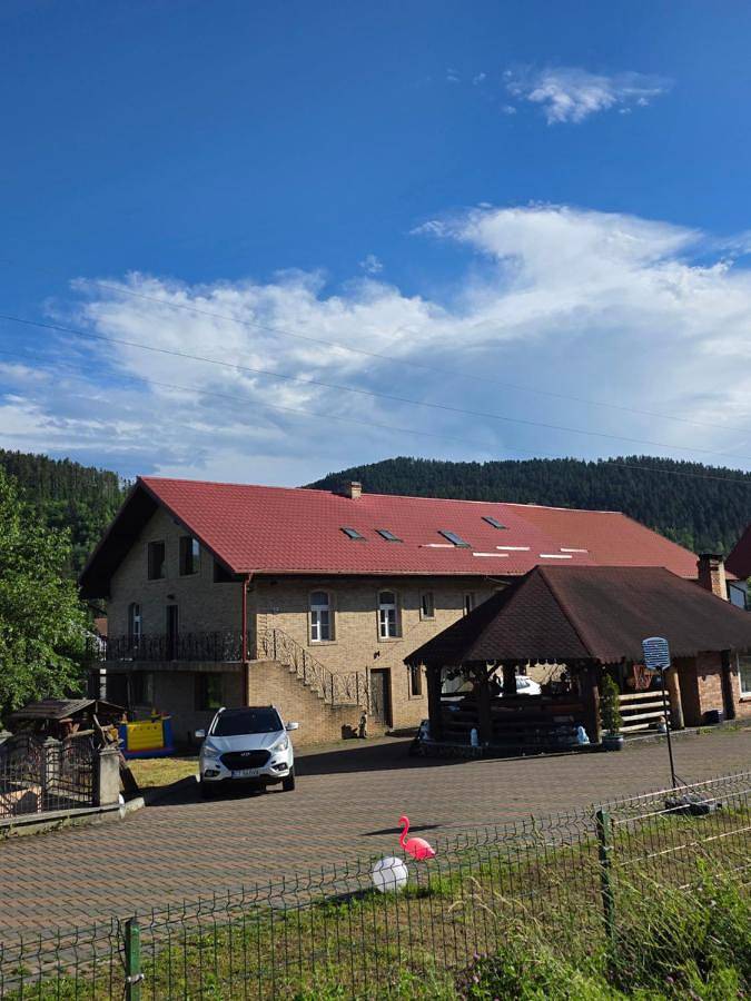 Maison d’hôte pour 2 personnes, avec vue et jardin, animaux acceptés dans Sucevița - 4