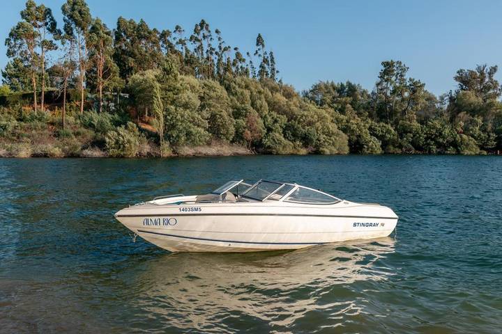 Gîte pour 4 personnes, avec piscine ainsi que jacuzzi et jardin à Tomar - 4