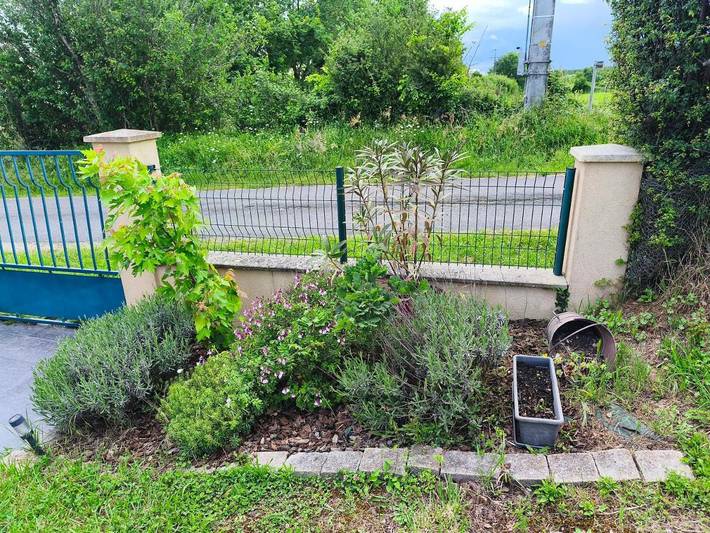 Location de vacances pour 6 personnes, avec jardin et vue, adapté aux familles à Najac - 4