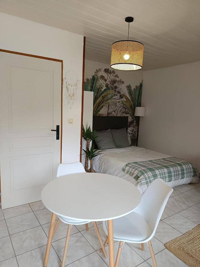 Gîte pour 3 personnes, avec jardin et vue à Bouguenais - 3