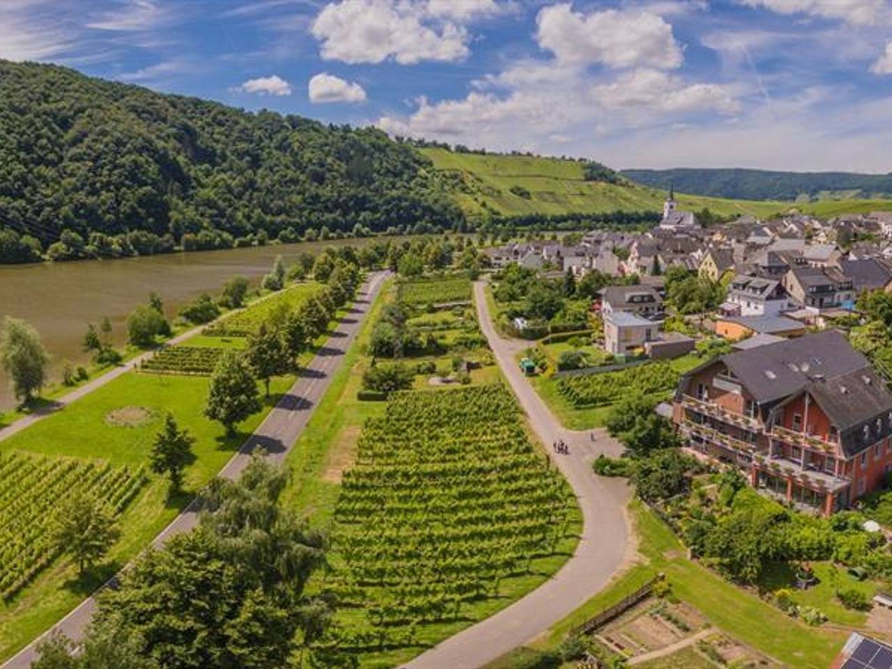 Ferienweingut Kreuz-Bauer - Doppelzimmer "Sonnenuntergang" in Minheim, Bernkastel-Kues & Umgebung