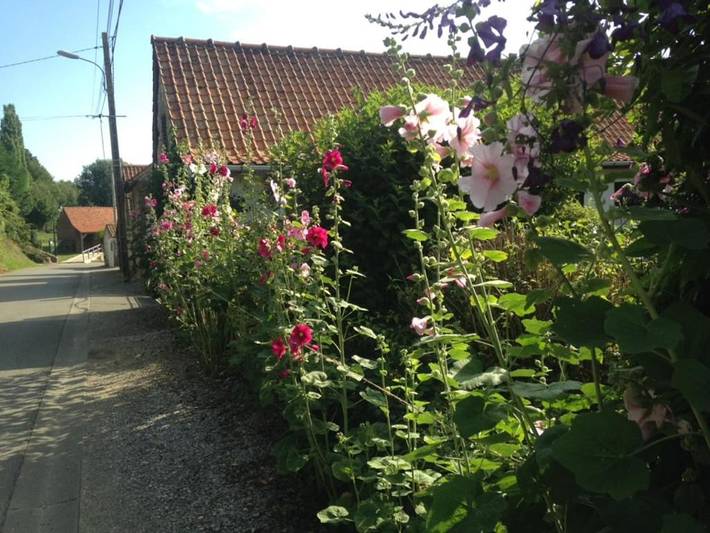 Gîte pour 4 personnes, avec jardin et terrasse à Estréelles - 2