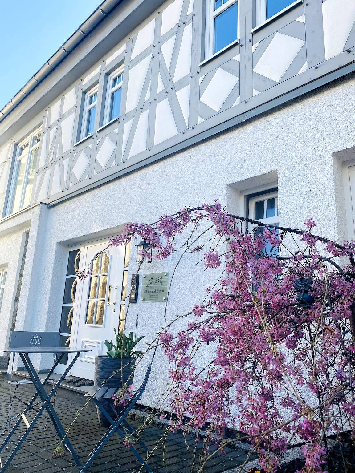 Ganze Ferienwohnung, Appartement Lavendel - 2-Bettwohnung in Höhr-Grenzhausen, Westerwald