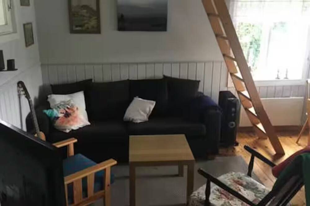 Charming traditional Norwegian cabin in Drangedal 