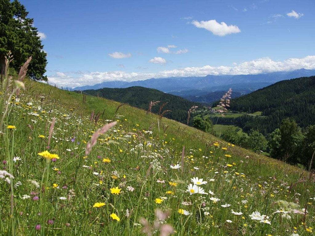 Ferienhaus für 4 Personen in Oberkärnten, Mittelkärnten