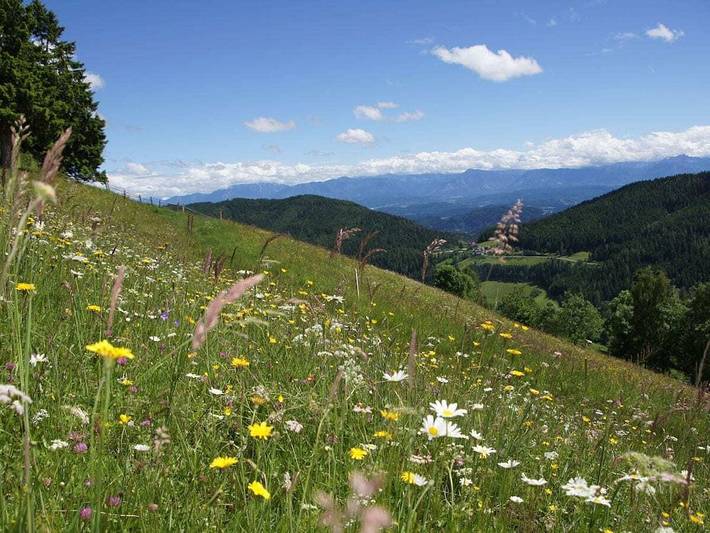 Ferienhaus für 4 Personen, mit Sauna und Balkon sowie Pool