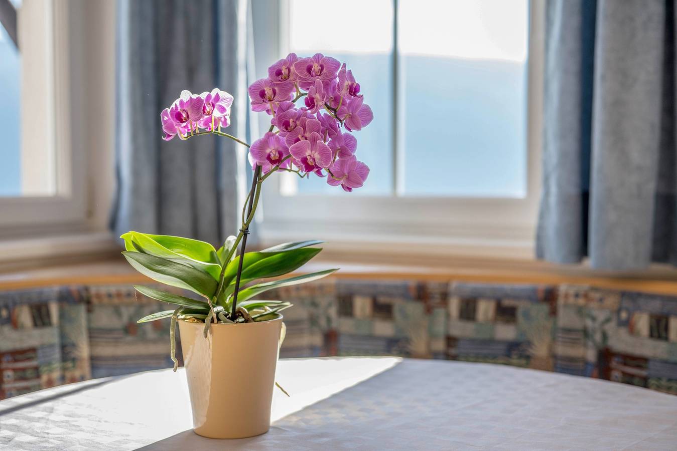 Ganze Wohnung, Ferienwohnung "Treyer 4 Typ B" mit Bergblick, Wlan, Balkon & Garten in Terenten, Dolomiti Superski