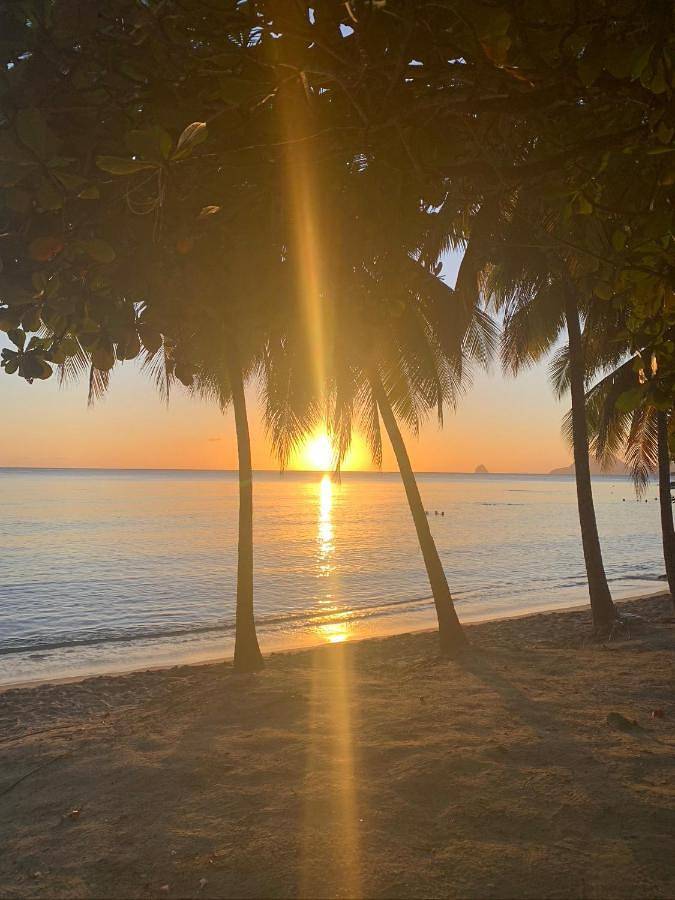 Gîte pour 4 personnes, avec vue ainsi que piscine et jardin à Rivière-Pilote - 3
