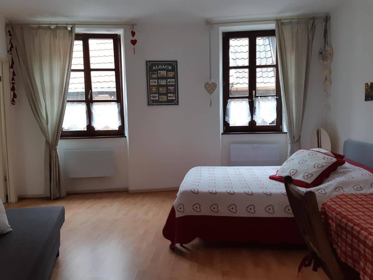 Appartement entier, One-Bedroom Apartment in Ribeauvillé, Parc naturel régional des Ballons des Vosges