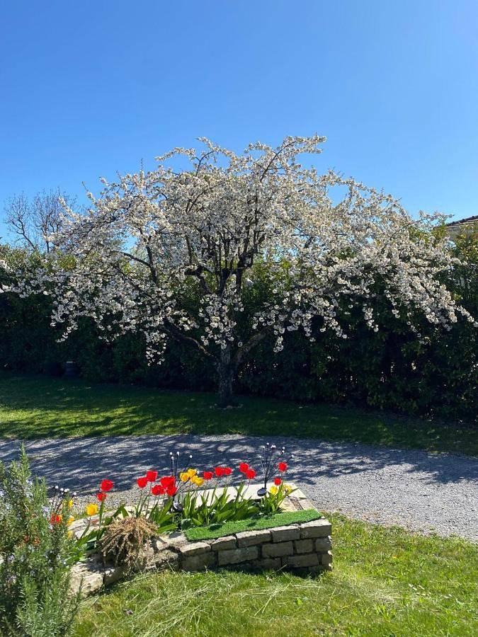 Gîte pour 4 personnes, avec terrasse ainsi que jardin et vue à Chens-sur-Léman - 2
