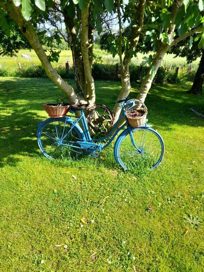 Location de vacances pour 3 personnes, avec jardin et terrasse à Beaumont-Pied-de-Bœuf - 2