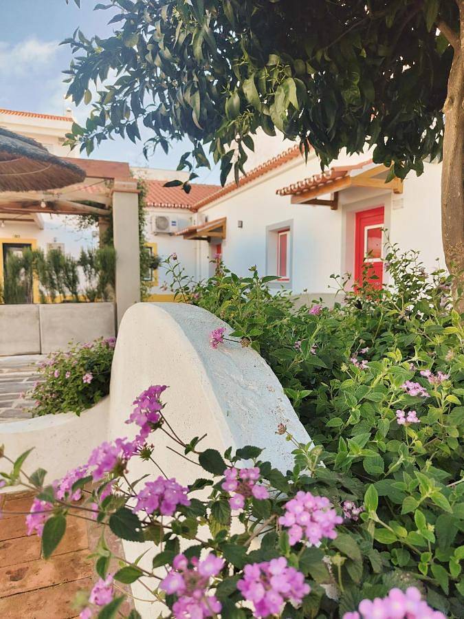 Location de vacances pour 4 personnes, avec piscine ainsi que jardin et vue à Reguengos de Monsaraz - 3
