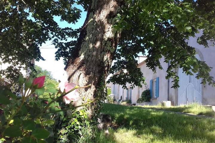 Gîte pour 9 personnes, avec jardin et piscine, animaux acceptés dans Saint-Laurent-du-Plan