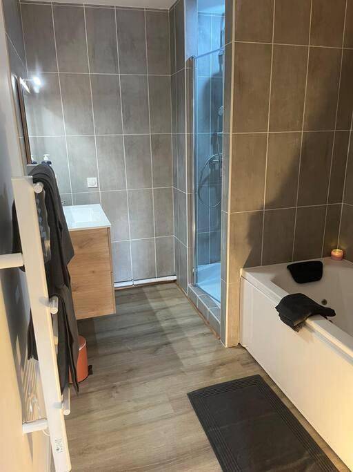 Gîte pour 2 personnes, animaux acceptés à Chasse-sur-Rhône - 4